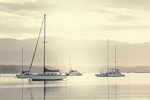 anchored-2047077